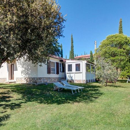 Artemisia Negli Ulivi B&B Мальяно-ин-Тоскана Экстерьер фото
