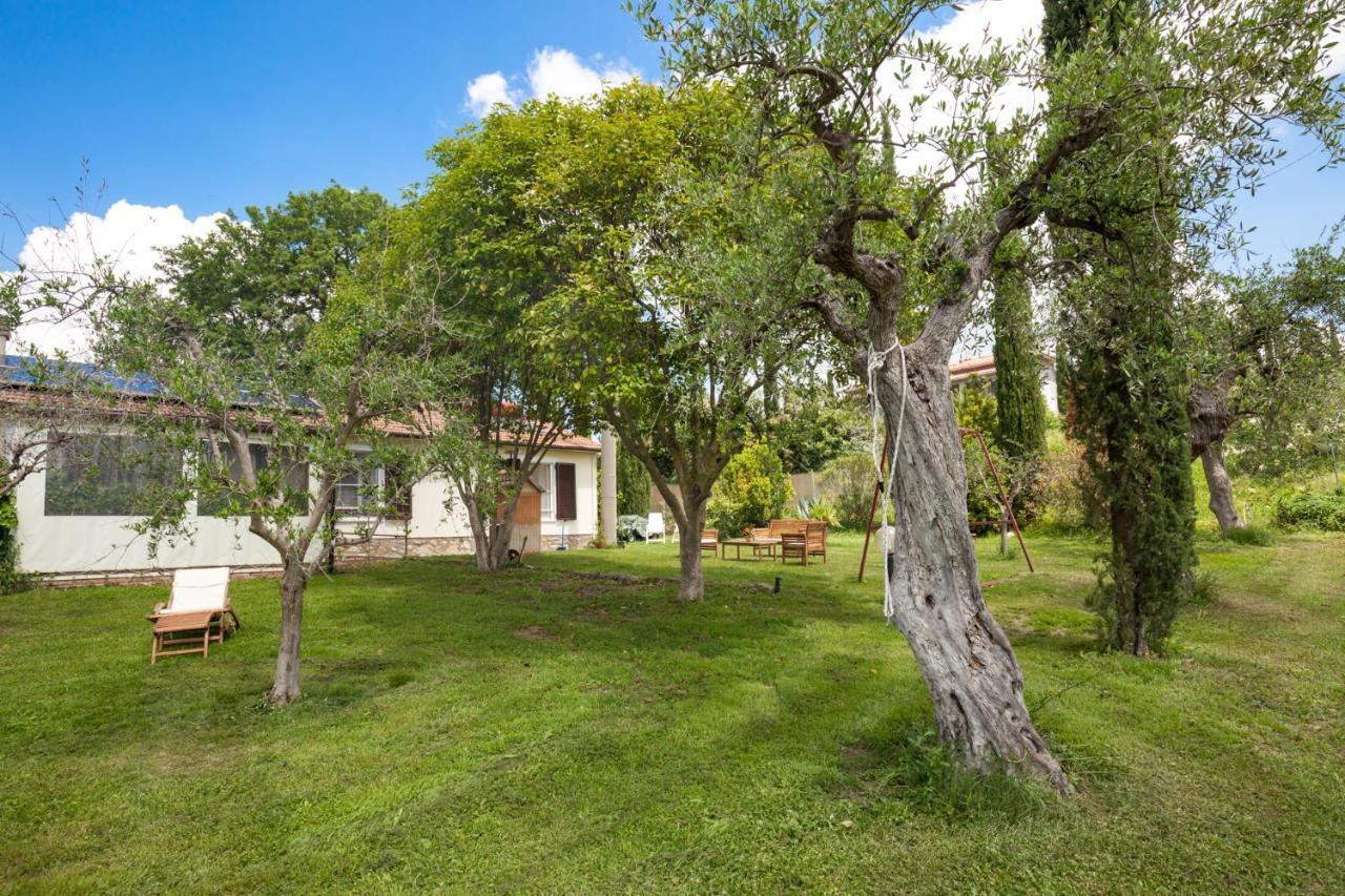 Artemisia Negli Ulivi B&B Мальяно-ин-Тоскана Экстерьер фото