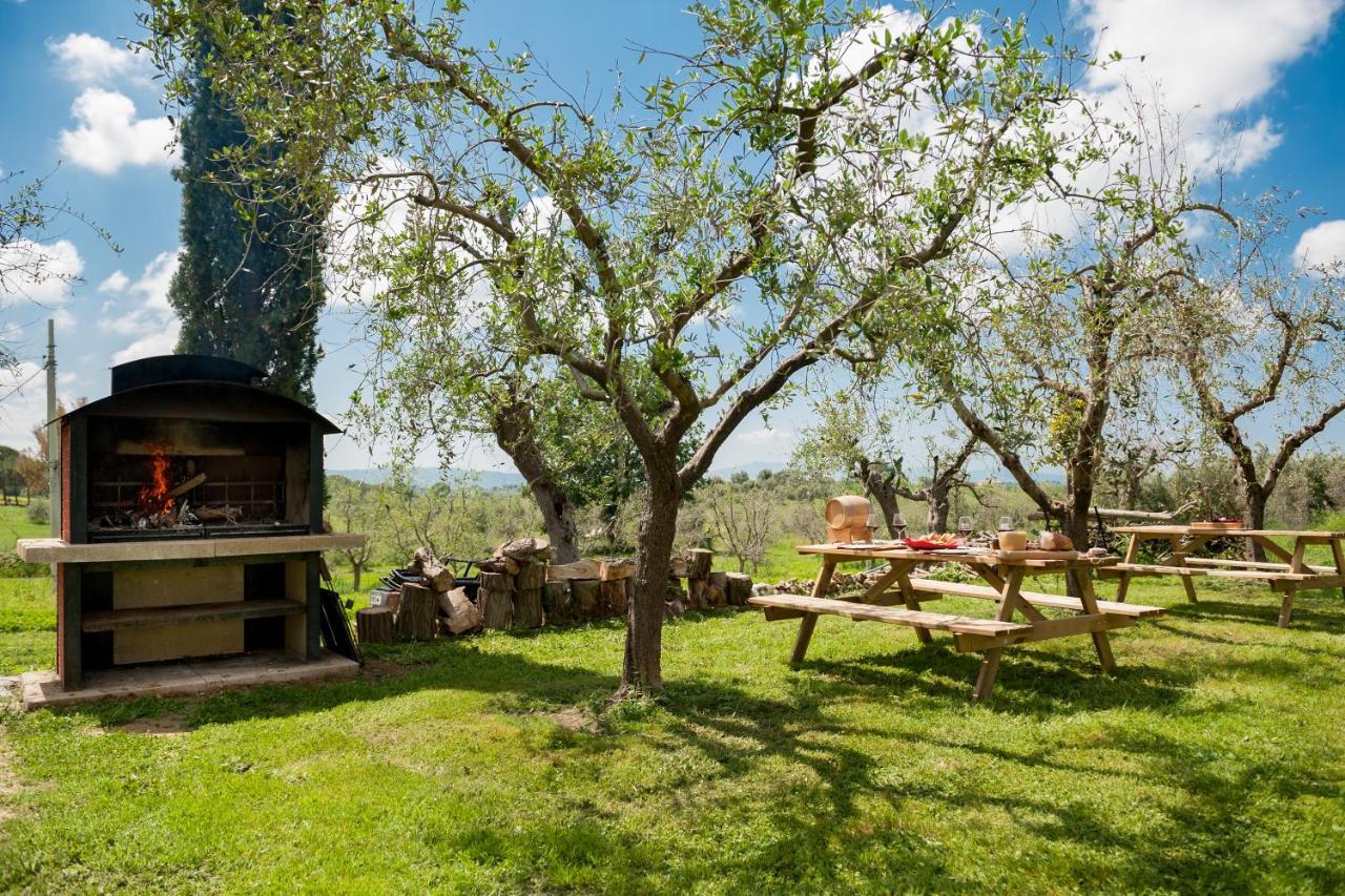 Artemisia Negli Ulivi B&B Мальяно-ин-Тоскана Экстерьер фото