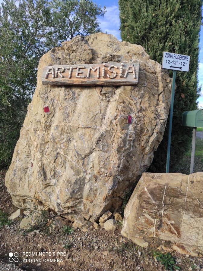 Artemisia Negli Ulivi B&B Мальяно-ин-Тоскана Экстерьер фото