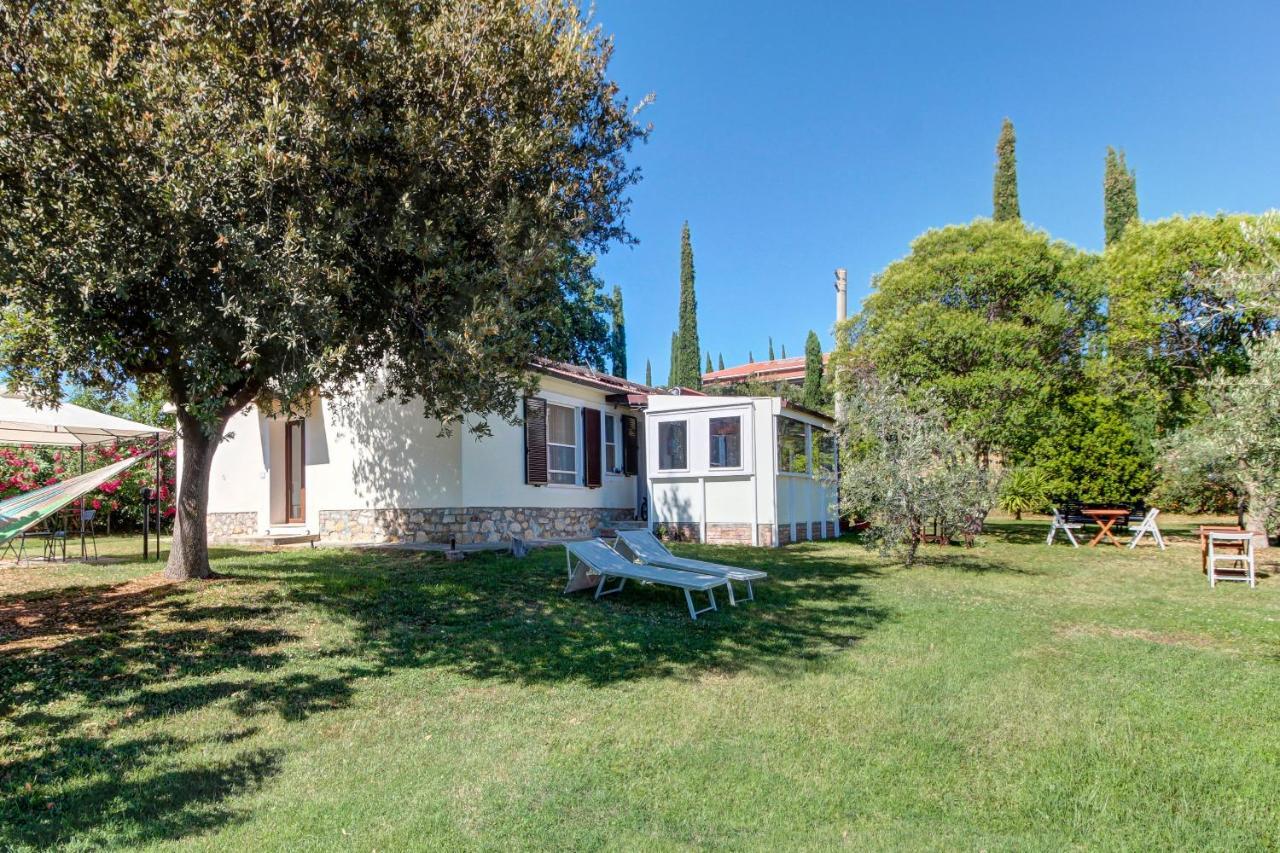Artemisia Negli Ulivi B&B Мальяно-ин-Тоскана Экстерьер фото