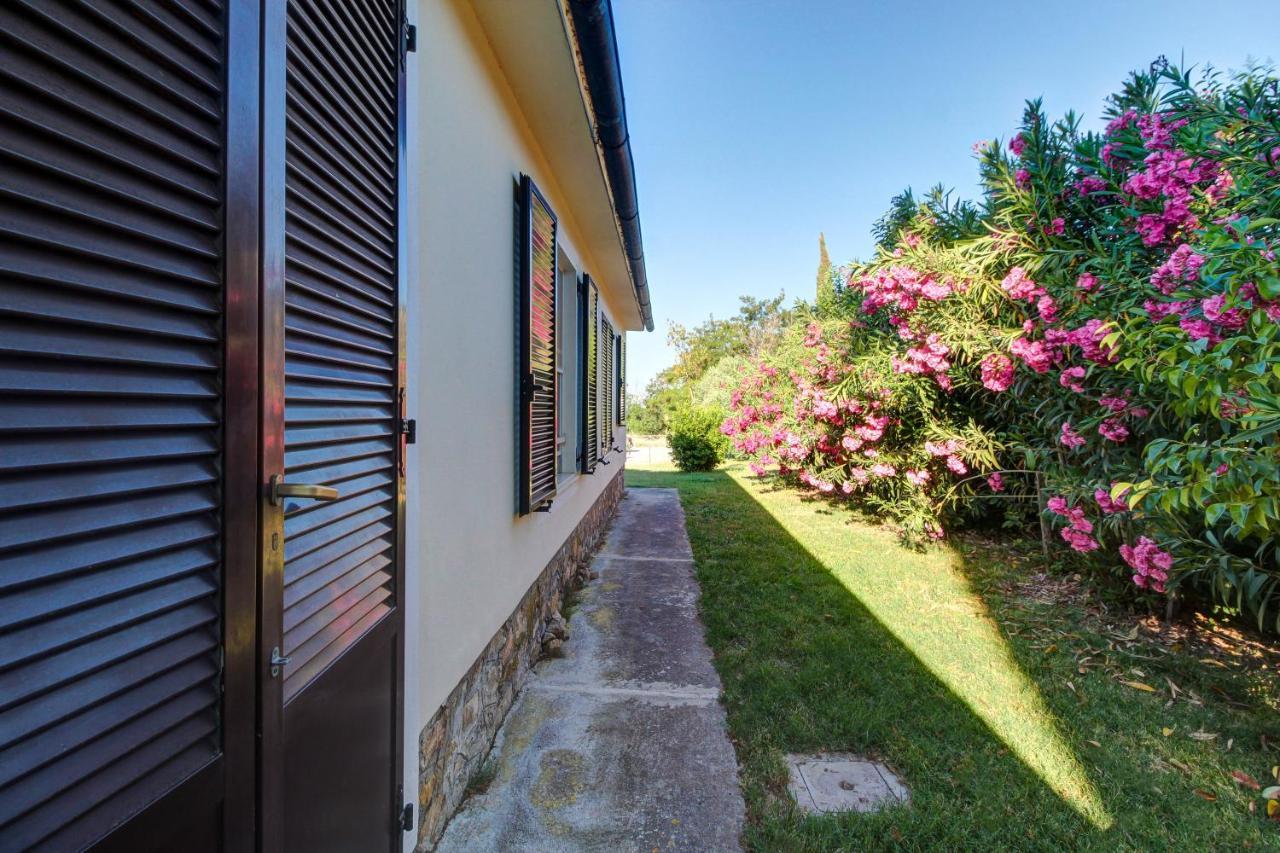 Artemisia Negli Ulivi B&B Мальяно-ин-Тоскана Экстерьер фото