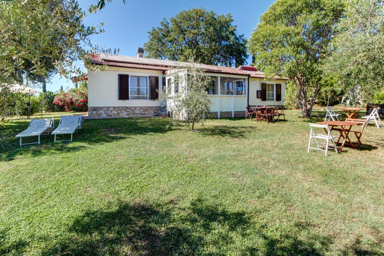 Artemisia Negli Ulivi B&B Мальяно-ин-Тоскана Экстерьер фото